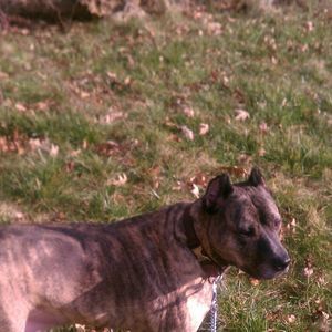 Meet your Posher, Freddy